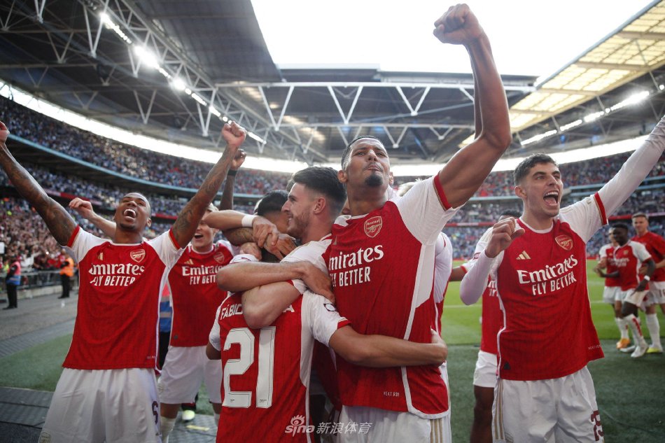 的阵容组合 的阵容组合