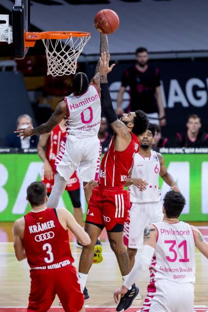 增添亮点 增添亮点